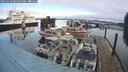 ./images/quadra/hbidock/20250118/hbidock20250118_103500M.jpg