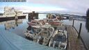 ./images/quadra/hbidock/20250118/hbidock20250118_103507M.jpg