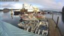 ./images/quadra/hbidock/20250118/hbidock20250118_104000M.jpg