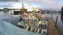 ./images/quadra/hbidock/20250118/hbidock20250118_104009M.jpg