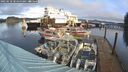 ./images/quadra/hbidock/20250118/hbidock20250118_104500M.jpg
