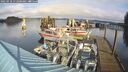 ./images/quadra/hbidock/20250118/hbidock20250118_112509M.jpg