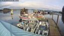 ./images/quadra/hbidock/20250118/hbidock20250118_113508M.jpg