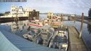 ./images/quadra/hbidock/20250118/hbidock20250118_144009M.jpg