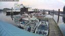 ./images/quadra/hbidock/20250118/hbidock20250118_163500M.jpg