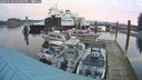 ./images/quadra/hbidock/20250118/hbidock20250118_164009M.jpg