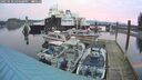 ./images/quadra/hbidock/20250118/hbidock20250118_164508M.jpg
