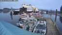 ./images/quadra/hbidock/20250118/hbidock20250118_170508M.jpg