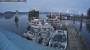 ./images/quadra/hbidock/20250118/hbidock20250118_172009M.jpg