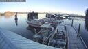 ./images/quadra/hbidock/20250119/hbidock20250119_091508M.jpg