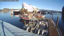 ./images/quadra/hbidock/20250119/hbidock20250119_104008M.jpg