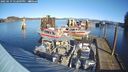 ./images/quadra/hbidock/20250119/hbidock20250119_122009M.jpg