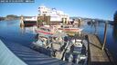 ./images/quadra/hbidock/20250119/hbidock20250119_123500M.jpg