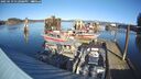 ./images/quadra/hbidock/20250119/hbidock20250119_132009M.jpg