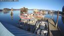 ./images/quadra/hbidock/20250119/hbidock20250119_134008M.jpg