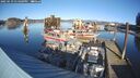 ./images/quadra/hbidock/20250119/hbidock20250119_134509M.jpg