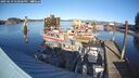 ./images/quadra/hbidock/20250119/hbidock20250119_140506M.jpg