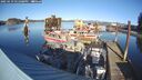 ./images/quadra/hbidock/20250119/hbidock20250119_141008M.jpg