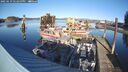 ./images/quadra/hbidock/20250119/hbidock20250119_142500M.jpg