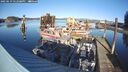 ./images/quadra/hbidock/20250119/hbidock20250119_142508M.jpg