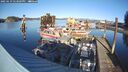 ./images/quadra/hbidock/20250119/hbidock20250119_143009M.jpg