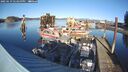 ./images/quadra/hbidock/20250119/hbidock20250119_143500M.jpg
