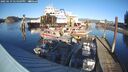 ./images/quadra/hbidock/20250119/hbidock20250119_144509M.jpg