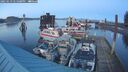 ./images/quadra/hbidock/20250119/hbidock20250119_171009M.jpg
