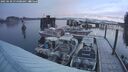 ./images/quadra/hbidock/20250120/hbidock20250120_074508M.jpg