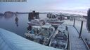./images/quadra/hbidock/20250120/hbidock20250120_075000M.jpg