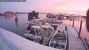 ./images/quadra/hbidock/20250120/hbidock20250120_075509M.jpg