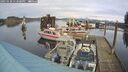 ./images/quadra/hbidock/20250120/hbidock20250120_133500M.jpg