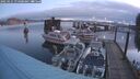 ./images/quadra/hbidock/20250121/hbidock20250121_074008M.jpg