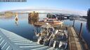 ./images/quadra/hbidock/20250121/hbidock20250121_100000M.jpg