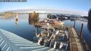 ./images/quadra/hbidock/20250121/hbidock20250121_100009M.jpg