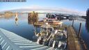 ./images/quadra/hbidock/20250121/hbidock20250121_100500M.jpg