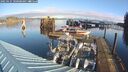 ./images/quadra/hbidock/20250121/hbidock20250121_100508M.jpg