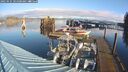 ./images/quadra/hbidock/20250121/hbidock20250121_101500M.jpg