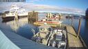 ./images/quadra/hbidock/20250121/hbidock20250121_123500M.jpg