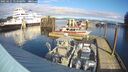 ./images/quadra/hbidock/20250121/hbidock20250121_123508M.jpg