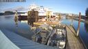 ./images/quadra/hbidock/20250121/hbidock20250121_144508M.jpg