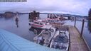 ./images/quadra/hbidock/20250122/hbidock20250122_075509M.jpg