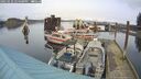 ./images/quadra/hbidock/20250122/hbidock20250122_144508M.jpg