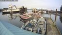 ./images/quadra/hbidock/20250122/hbidock20250122_145508M.jpg