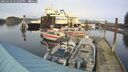 ./images/quadra/hbidock/20250122/hbidock20250122_151009M.jpg