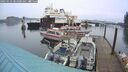 ./images/quadra/hbidock/20250123/hbidock20250123_084000M.jpg