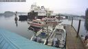 ./images/quadra/hbidock/20250123/hbidock20250123_085008M.jpg
