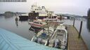 ./images/quadra/hbidock/20250123/hbidock20250123_103508M.jpg