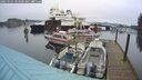 ./images/quadra/hbidock/20250123/hbidock20250123_104008M.jpg