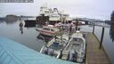./images/quadra/hbidock/20250123/hbidock20250123_110009M.jpg
